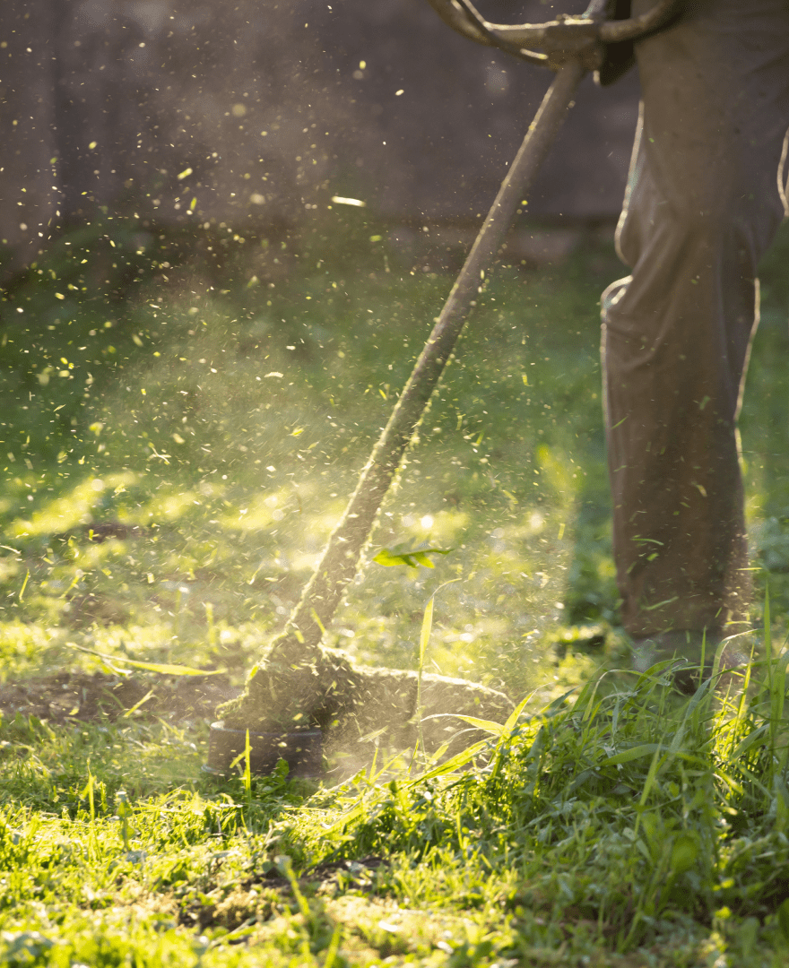 lawn maintenance